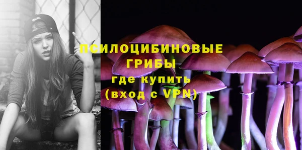 ГАЛЛЮЦИНОГЕННЫЕ ГРИБЫ Алзамай