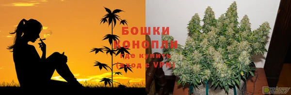 стафф Дмитриев