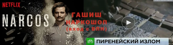 ГАЛЛЮЦИНОГЕННЫЕ ГРИБЫ Алзамай