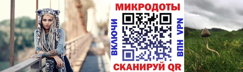 Псилоцибиновые грибы MAGIC MUSHROOMS  магазин продажи наркотиков  Петров Вал 